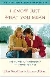 Cover of I know just what you mean : the power of friendship in women's lives