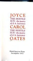 Cover of The hostile sun
