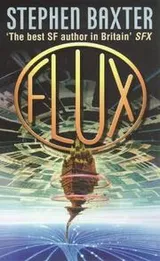 Cover of Flux