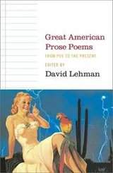 Cover of Great American prose poems