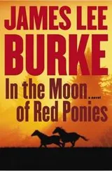 Cover of In the moon of red ponies