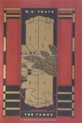Cover of The tower