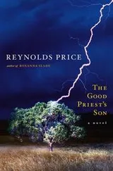Cover of The good priest's son