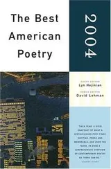 Cover of The Best American Poetry 2004