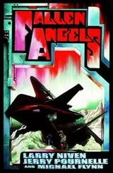 Cover of Fallen angels