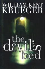 Cover of The devil's bed