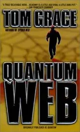 Cover of Quantum Web