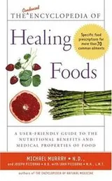Cover of The condensed encyclopedia of healing foods