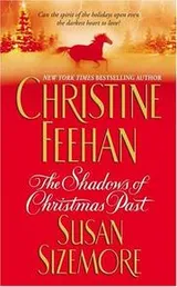 Cover of The shadows of Christmas past
