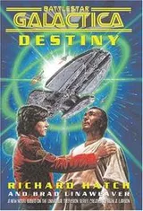 Cover of Destiny (Battlestar Galactica)