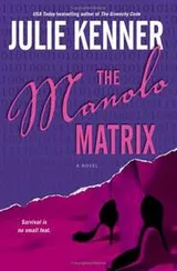 Cover of The Manolo matrix