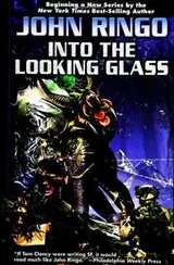 Cover of Into the looking glass