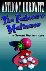 Cover of The Falcon's Malteser (Diamond Brothers Story)