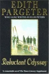 Cover of Reluctant odyssey