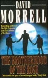 Cover of The brotherhood of the rose