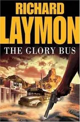 Cover of Glory Bus