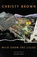 Cover of Wild grow the lilies
