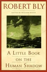 Cover of A little book on the human shadow