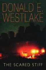 Cover of The Scared Stiff