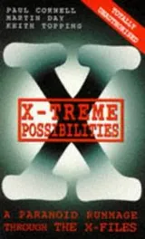 Cover of X-treme possibilities