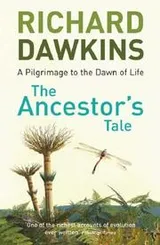Cover of The Ancestor's Tale