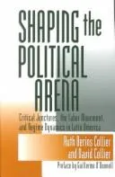 Cover of Shaping the political arena