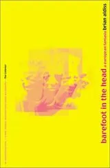 Cover of Barefoot in the Head