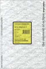 Cover of The moment of eclipse