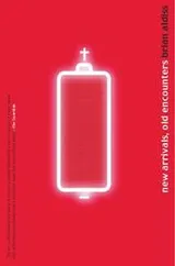 Cover of New arrivals, old encounters