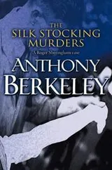 Cover of The silk stocking murders