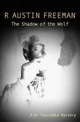 Cover of The Shadow of the Wolf