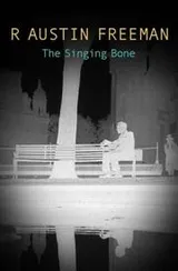 Cover of The singing bone
