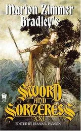 Cover of Sword and Sorceress XXI