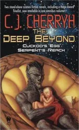 Cover of The Deep Beyond