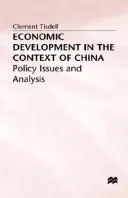 Cover of Economic development in the context of China