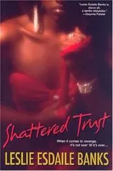Cover of Shattered Trust