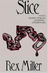 Cover of Slice