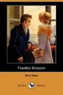 Cover of Thankful Blossom