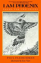 Cover of I Am Phoenix