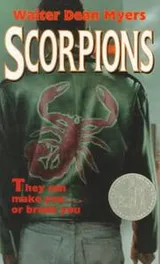 Cover of Scorpions (rack)
