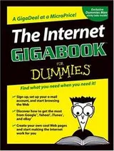 Cover of The Internet gigabook for dummies