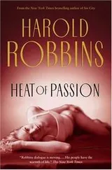 Cover of Heat of passion