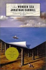 Cover of The Wooden Sea