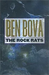 Cover of The rock rats