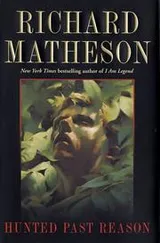 Cover of Hunted past reason