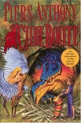 Cover of Cube route