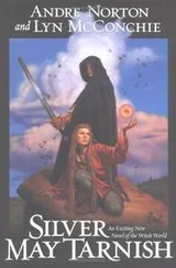 Cover of Silver may tarnish