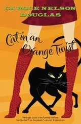 Cover of Cat in an orange twist
