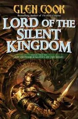 Cover of Lord of the Silent Kingdom (Instrumentalities of the Night)