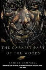 Cover of The darkest part of the woods